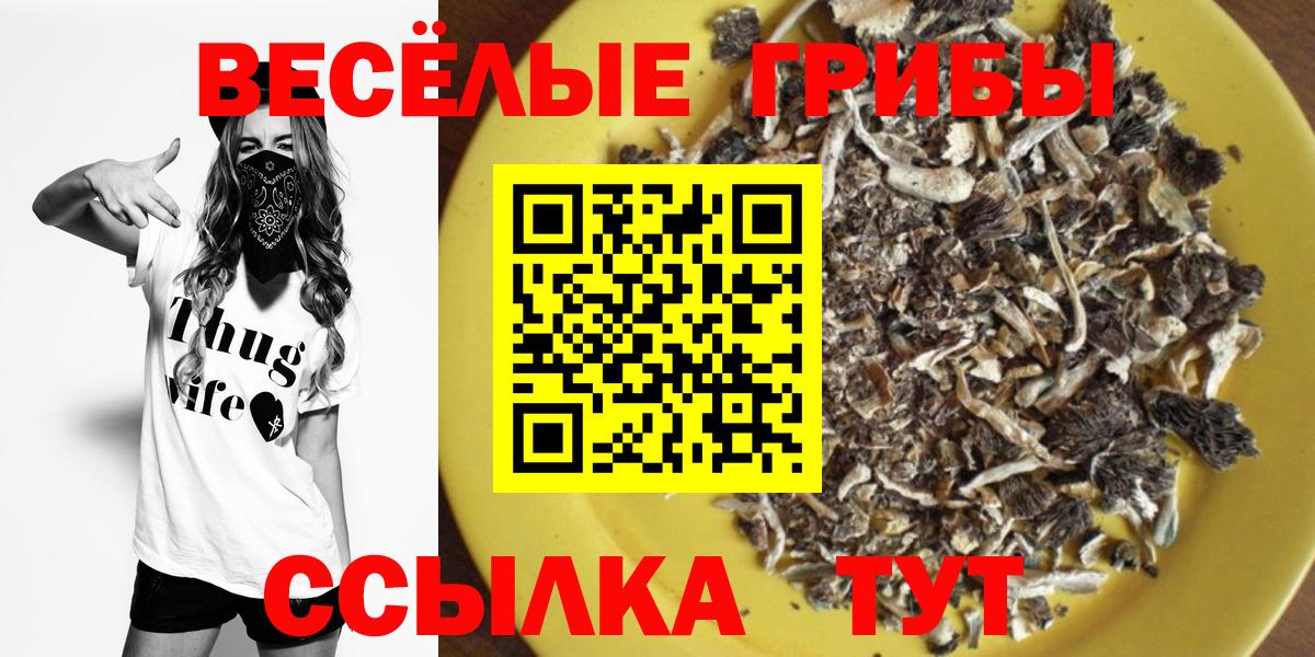 Конаково  Галлюциногенные грибы прущие грибы  Вход с VPN  хочу наркоту  Галлюциногенные грибы MAGIC MUSHROOMS 